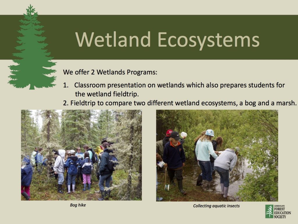 Grade 5 Wetland Ecosystems Lesser Slave Forest Education Society (LSFES)